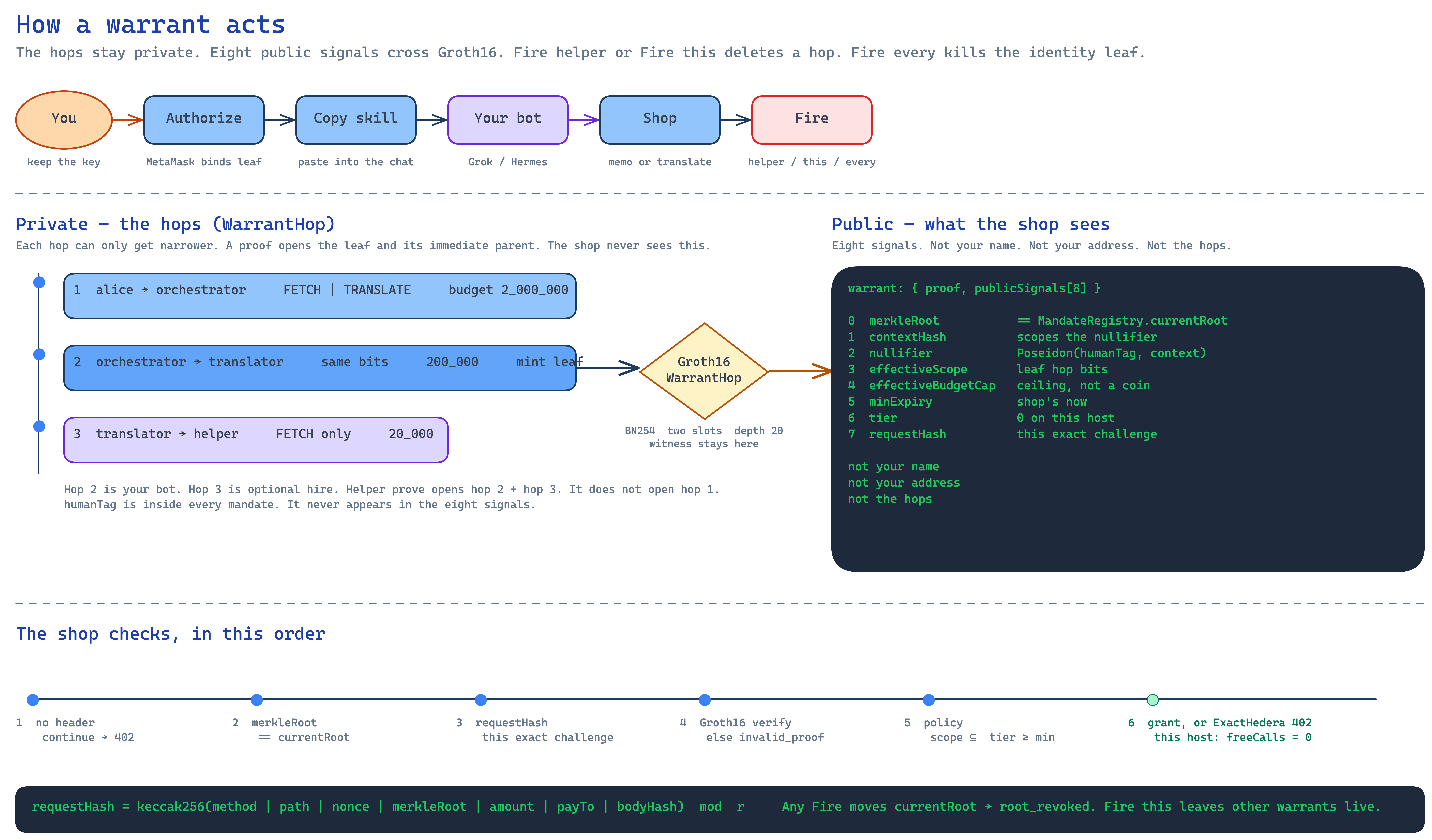You authorize, copy a skill into your bot, and the bot calls a shop. Hops stay private and only get narrower. Groth16 carries eight public signals. The shop never sees your name. Fire helper deletes hop 3. Fire this deletes hop 2. Fire every bumps the identity epoch and every hop dies.